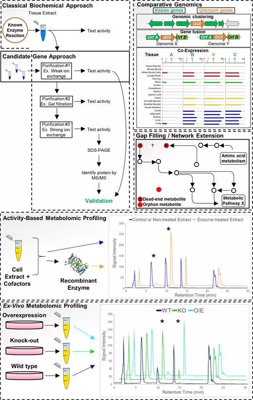 威客电竞(vkgame)-为竞技而生