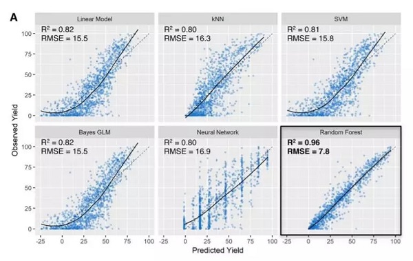 威客电竞(vkgame)-为竞技而生
