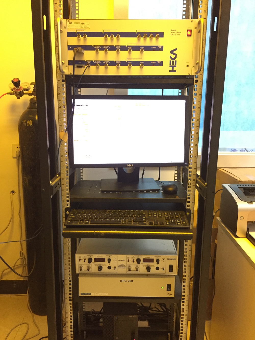 威客电竞(vkgame)-为竞技而生