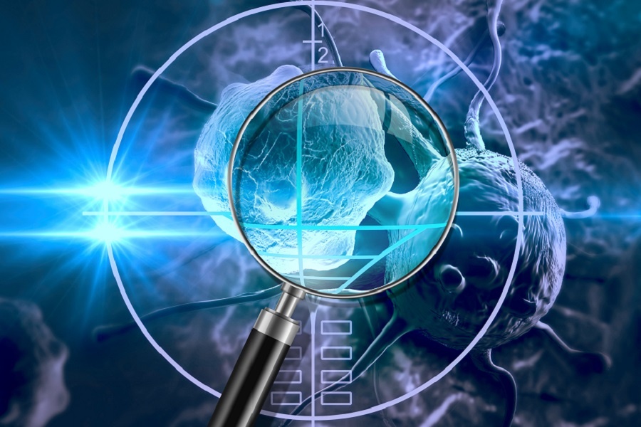 威客电竞(vkgame)-为竞技而生