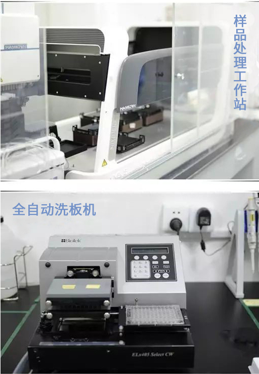 威客电竞(vkgame)-为竞技而生