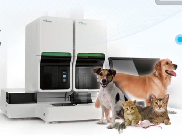 威客电竞(vkgame)-为竞技而生