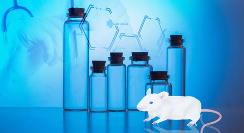 威客电竞-您理想的DMPK研究同伴