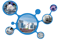 科创板首家CRO企业威客电竞获准注册