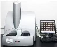 威客电竞 MSD S 600