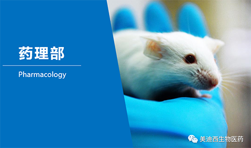 威客电竞药理部开发了肺癌、结肠癌、胃癌等12种PDX模子。。。。。。。。