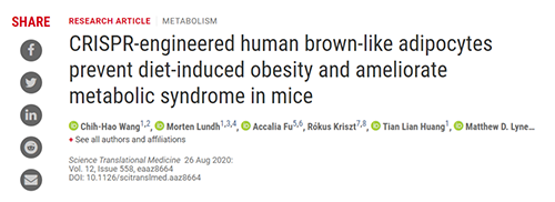 Science|聚焦CRISPR：刷新脂肪细胞，，，，，“躺瘦”可能要成真了？？？？？