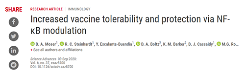研究职员将部分选择性核因子κB（NF-kB）抑制剂与几种现在的佐剂联合使用
