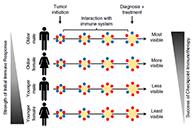 事实为什么ICB疗法在年轻女性肿瘤患者体内收效甚微？？？？？？