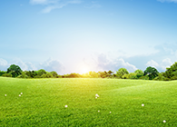 运动怎样成为治疗癌症的“一剂良药”今天我们终于知道了！