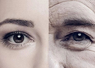 一种能够延伸寿命的降压药，，，，，，，你听说过吗？？？？？？