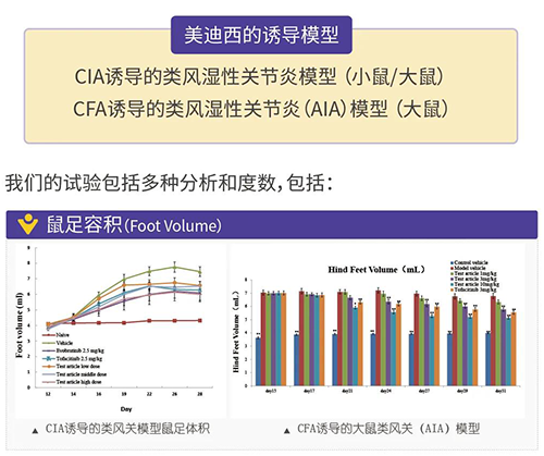 威客电竞诱导的类风湿性枢纽炎模子