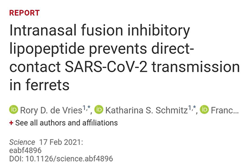 Science速递|鼻喷雾剂可阻止新冠肺炎撒播，，，，，，，，在雪貂实验中已初获效果