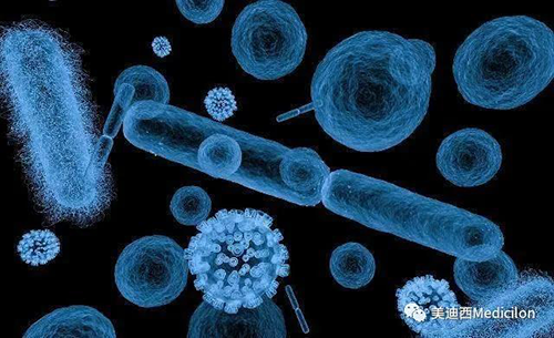 20分钟，，，，，，，大大都细菌都可以繁衍一代 威客电竞生物医药