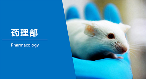 威客电竞临床前研究-药理部