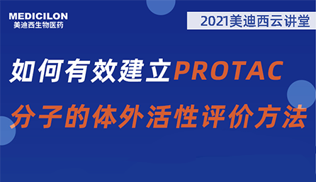 【云课堂】：怎样有用建设PROTAC分子的体外活性评价要领？？？？？？？？