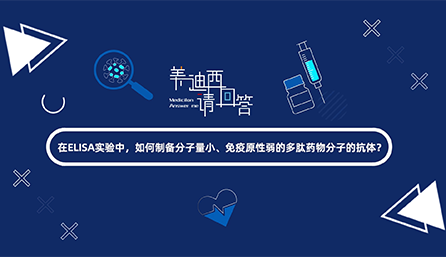 在ELISA实验，，，，，，，怎样制备分子量小、免疫原性弱的多肽药物分子的抗体？？？？？？