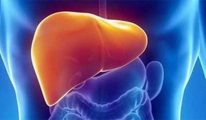 【威客电竞助力】NASH领域新希望！海普丁HPD001即将在美启动临床试验