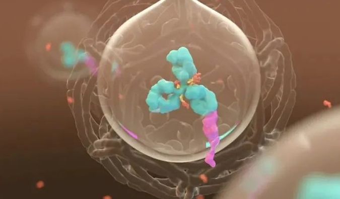 美研 | 威客电竞带您相识ADC玄妙之处