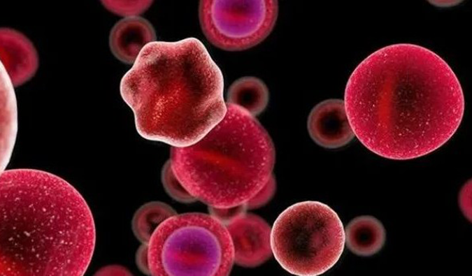 【威客电竞助力】多禧生物第四款ADC药物DXC007获批临床