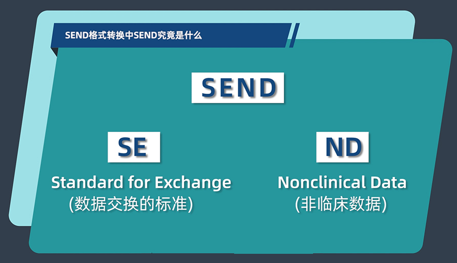 SEND名堂转换中的SEND事实是什么？？？？？？？？