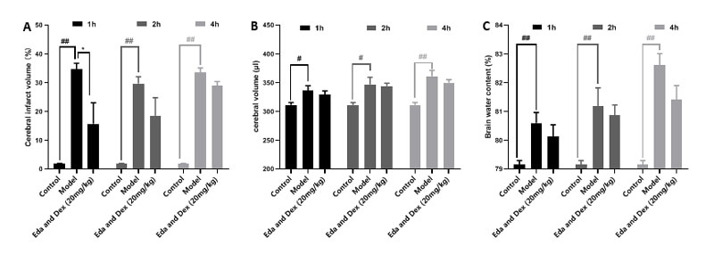 7-治疗时间窗考察-A：TTC；；；；；；；B：脑体积，，，，，，，，C：脑含水量.jpg