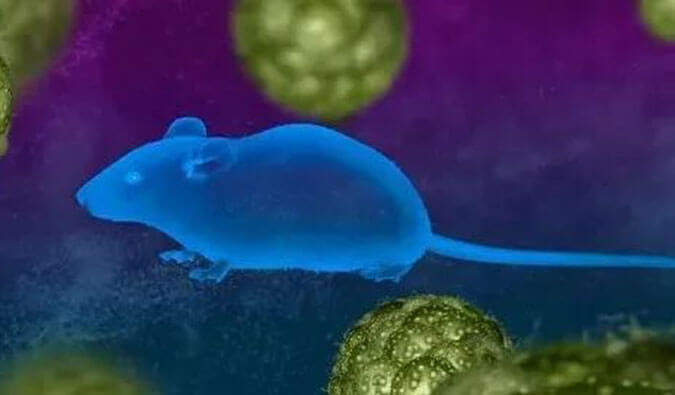 威客电竞药效效劳赋能First-in-Class泛素化抑制剂研发