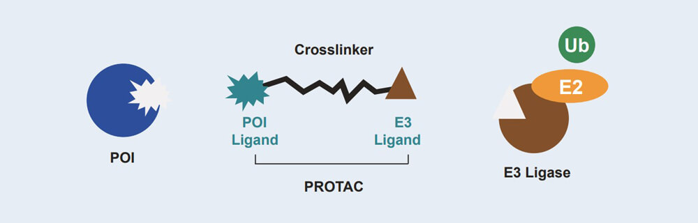 威客电竞 PROTAC 药物发明手艺效劳平台