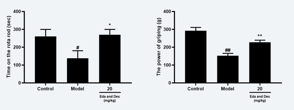 神经功效药效学考察：C 转棒滞留时间；；；；；；D 抓握力（mean±SEM）.jpg