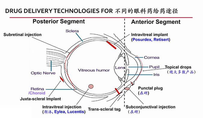 【内附回放+下半场预约】威客电竞眼科药物专题钻研会上半场精彩回首