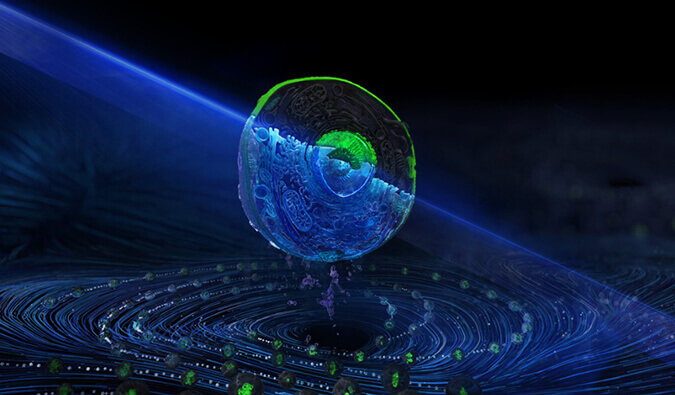 威客电竞流式细胞分选效劳平台