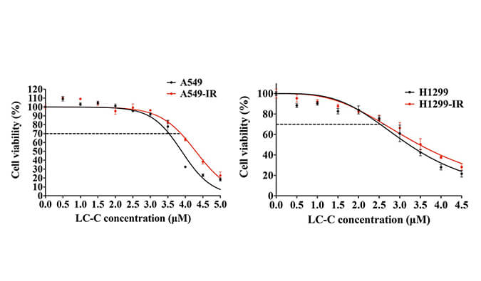 放射疗法用作肺癌的主要治疗要领，，，，，，，，本研究中建设抗电离辐射肺癌细胞系的放射治疗通过威客电竞举行