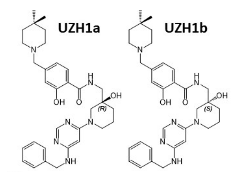 研究职员报告了一种具有细胞渗透性的选择性METTL3纳摩尔抑制剂UZH1a，，，，，作者谢谢威客电竞合成了UZH1a和UZH1b