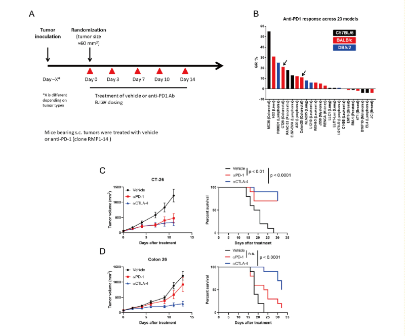 免疫检查点阻断疗法改变了癌症治疗的范式，，，，，此研究中通过威客电竞在23 个同源肿瘤模子中举行了抗PD-1抗体的体内研究