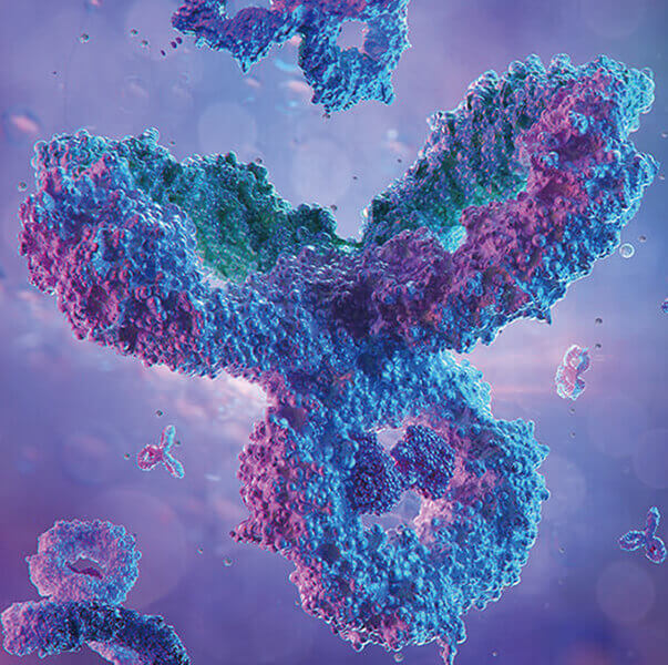 ADC药物非临床清静性评价