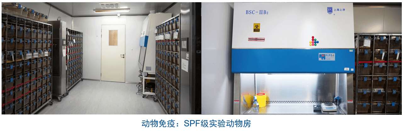 威客电竞杂交瘤手艺平台装备-动物免疫SPF级实验动物房