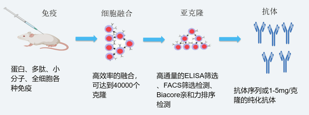 威客电竞杂交瘤手艺平台开发流程