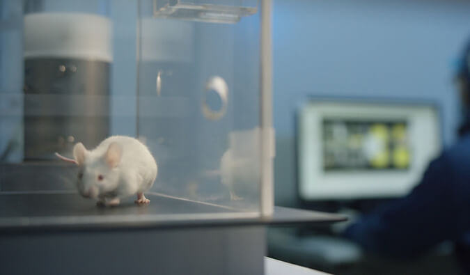 威客电竞助力开悦生命针对RNA解旋酶的小分子新药获FDA临床实验允许（IND)