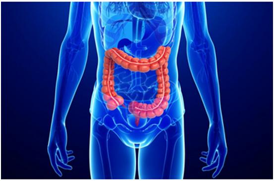 威客电竞一站式助力 | 宝太生物首其中美双报立异药获批