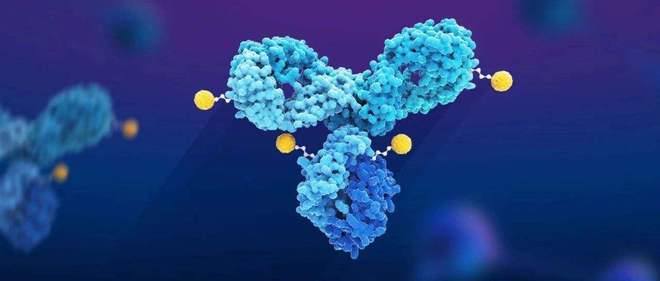 天下肿瘤日聚焦：AACR年会引领全球肿瘤新药趋势，，，，，，，，国产药引领风潮