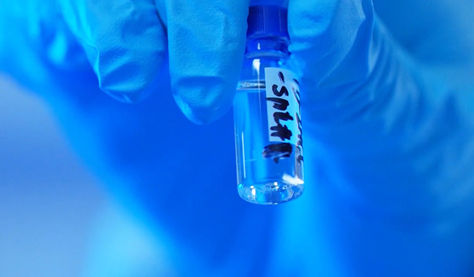 GLP-1“竞速赛”何以夺魁？？？？？？？