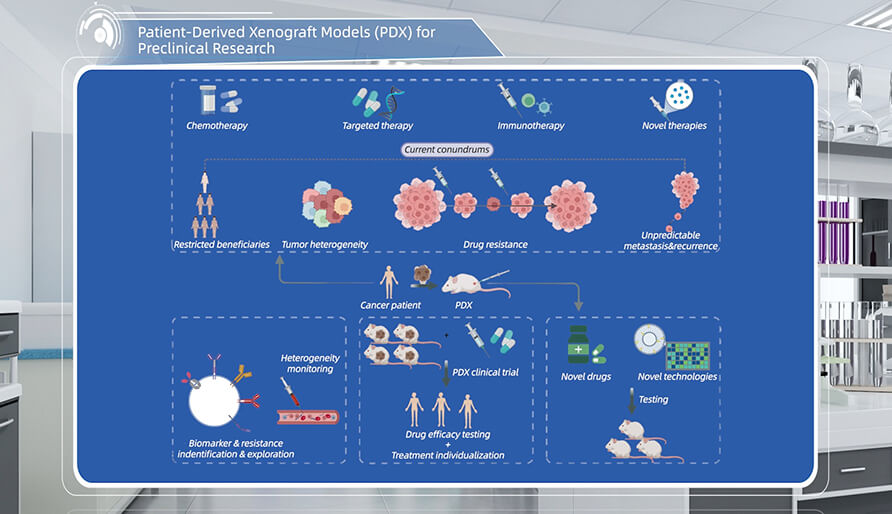 什么是临床前研究的PDX（人源肿瘤异种移植）模子？？？？？