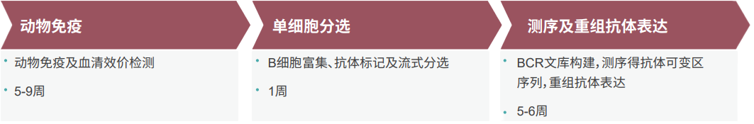 威客电竞单B细胞抗体发明平台