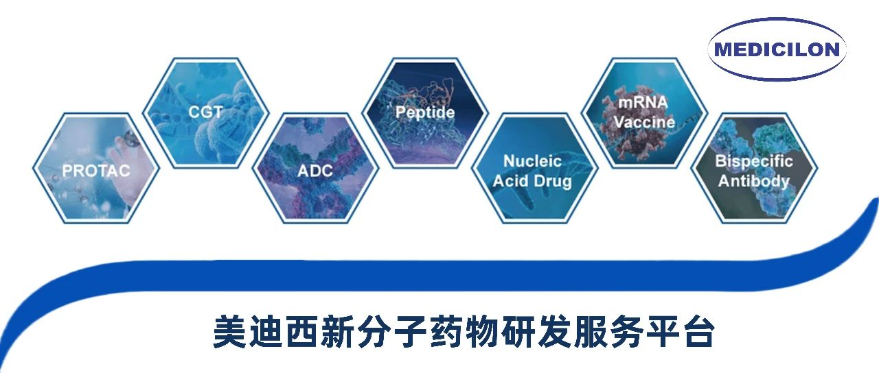 威客电竞新分子类型药物研发效劳平台