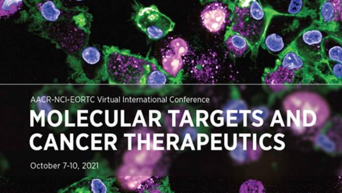 通过联合治疗提高免疫疗法疗效，，，，，本研究中临床前体内药效研究通过威客电竞举行